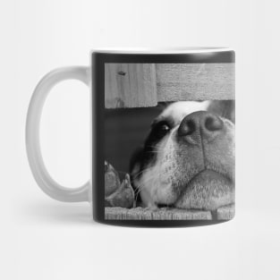 Cute Puppy Dog Poster Mug